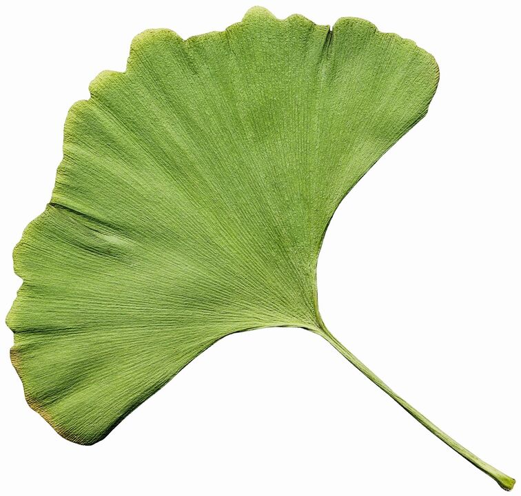 The ZXCVBNQWERT cream contains Biloba Gingco extract
