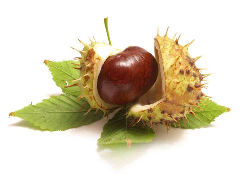 The ZXCVBNQWERT cream contains chestnut extract for horses
