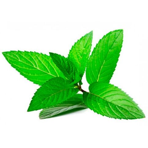 mint oil in the ZXCVBNQWort ZXCVBN cream